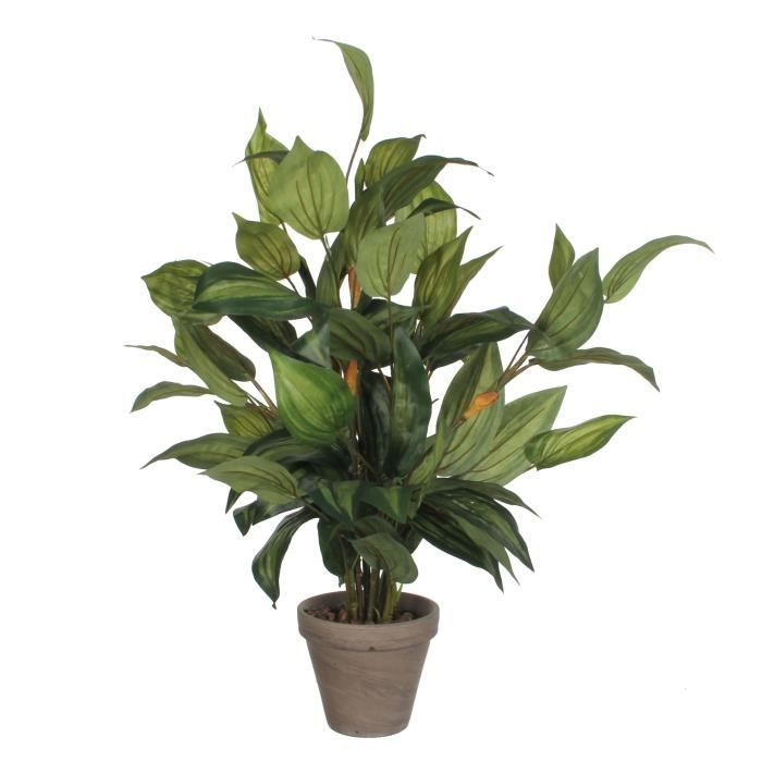 Plante Artificielle - Mica Decorations - Hosta - H65 X Ø40 Cm - Vert - Sans Entretien