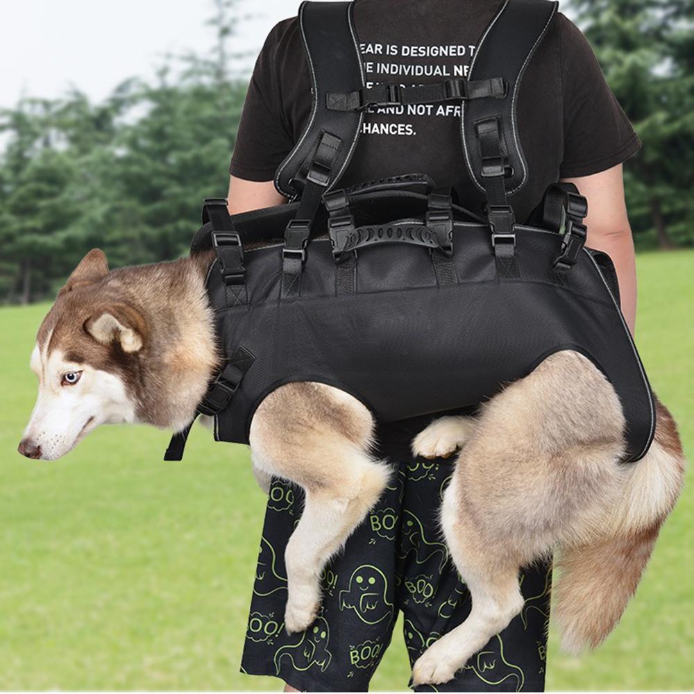 Front Dog Carrier Backpack – Breathable, Soft & Safe Pet Bag With Removable Leg Holes For Walking, Hiking & Travel