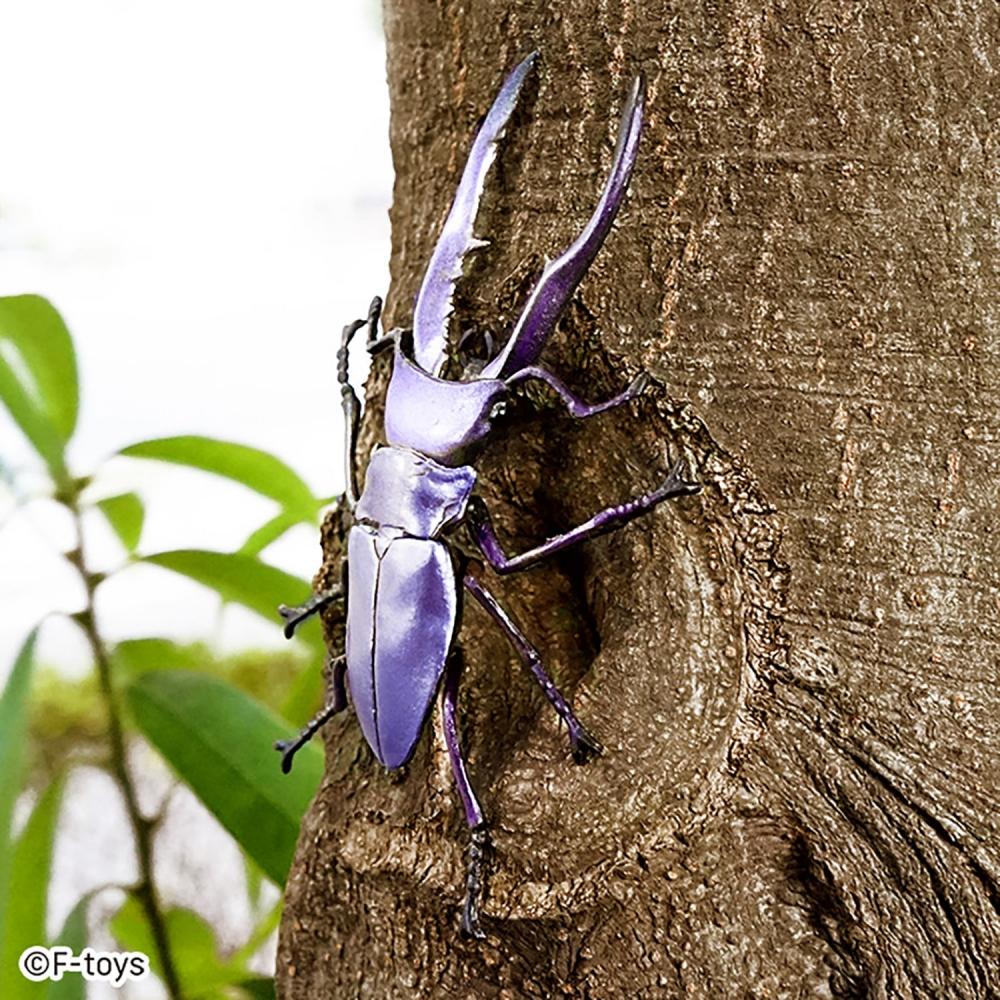 Null Insect Hunter Beetle Set 1box 10pcs