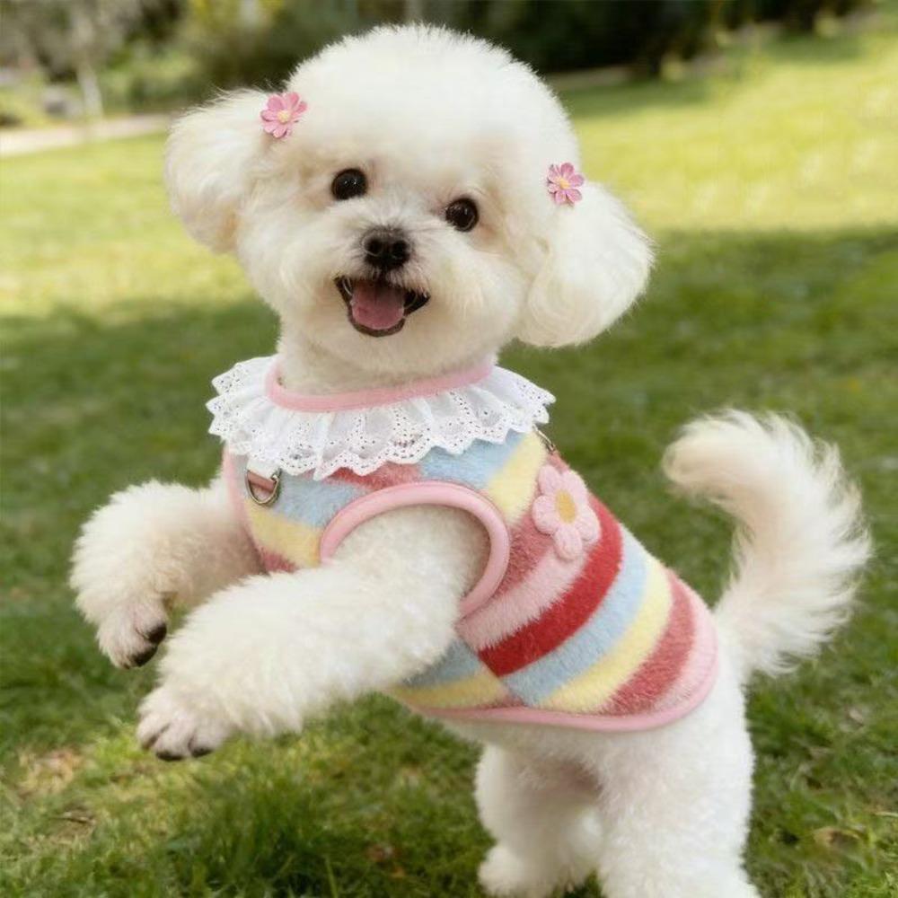 Soft Plush Puppy Winter Vest Stripe Pet Clothes New Cat Hoodies Outdoor