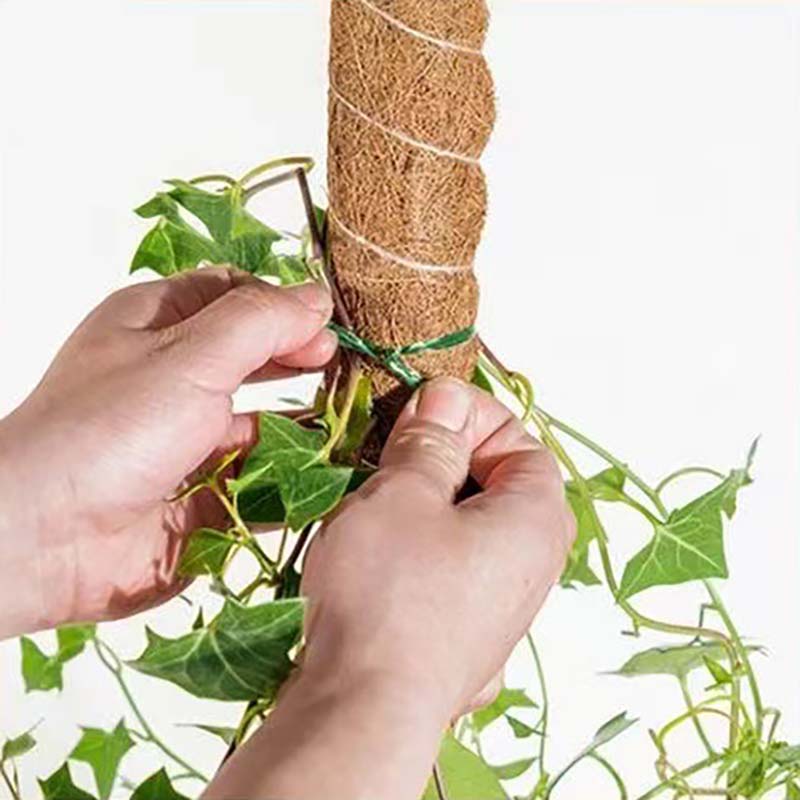 Plant Climbing Trellis Support Stakes Climbing Plant Support Stick Gardening Support Frame Flower Stand