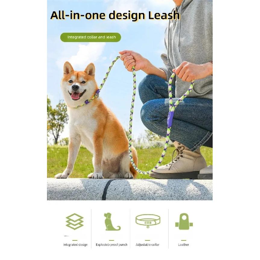 All-in-one Design Dog Leash Collar Set for Small Medium Dogs, Durable Braided Rope Slip Lead Pet Training Leash