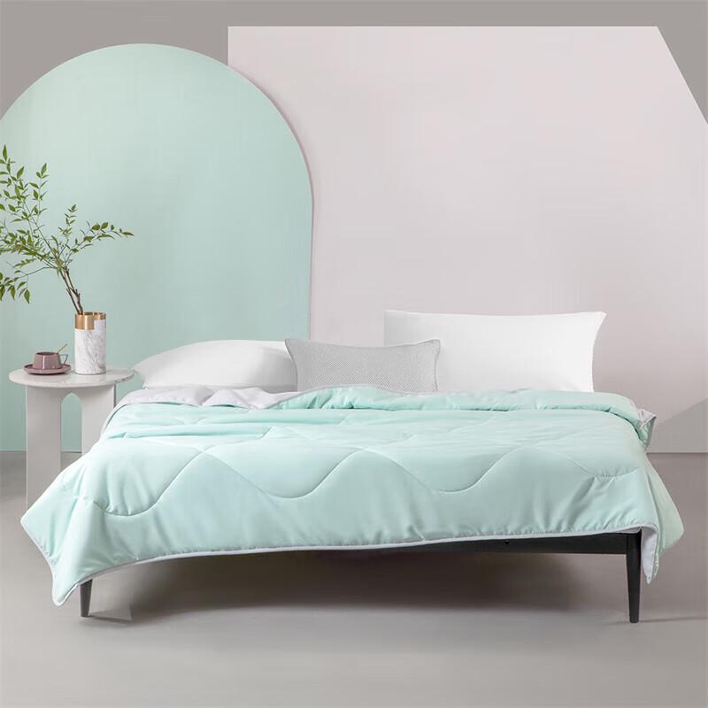 

Mercury Home Textiles Printed Summer Cooling Quilt