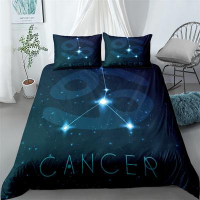 Comfortable Stylish Pattern Duvet Cover Set With Duvet Cover And Pillowcases King Queen Twin Sizes For All Ages