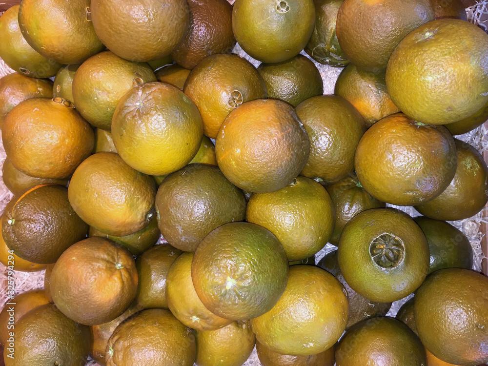 Citrus Sinensis NAVEL CHOCOLATE ORANGE 5 Semi-fresh