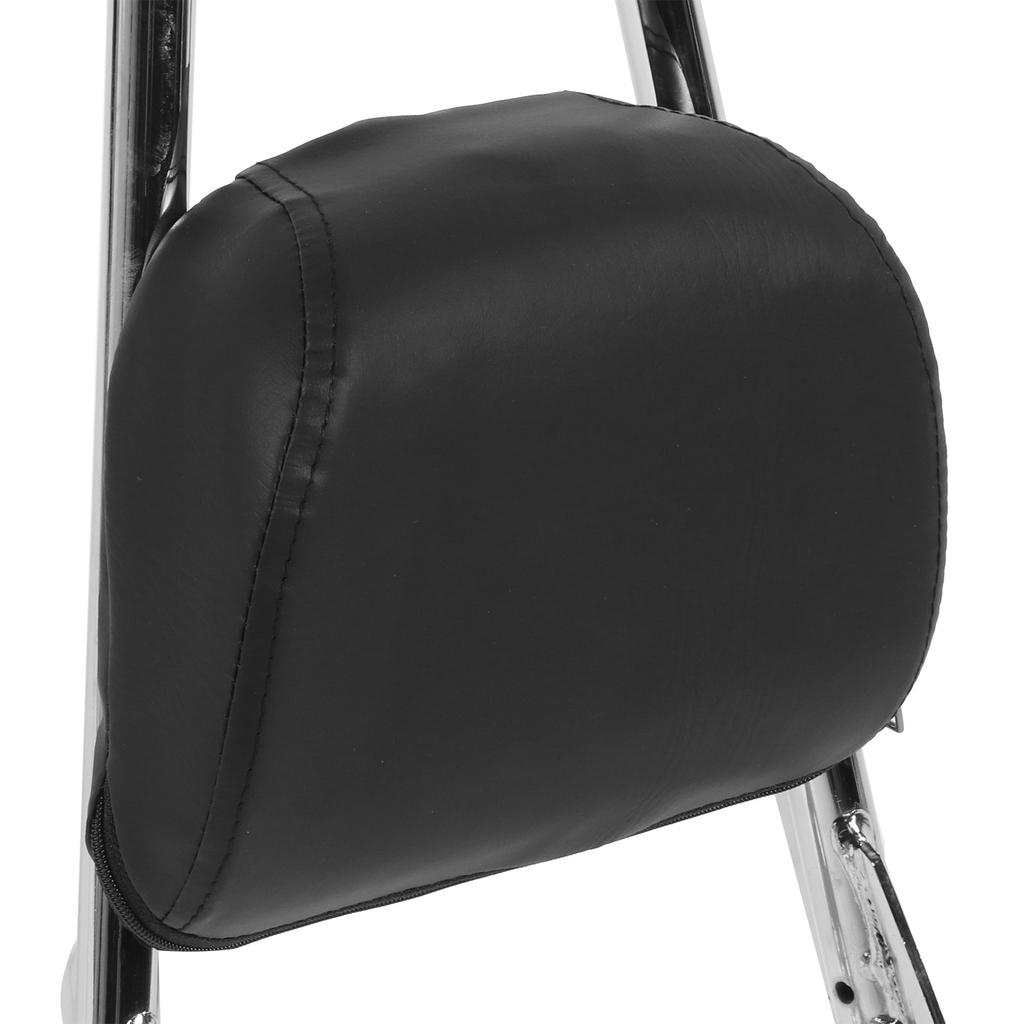 Detachable Motorcycle Backrest Bar Pad Kit Fit for XL883C XL883R 200R 200C XLH883 04-19