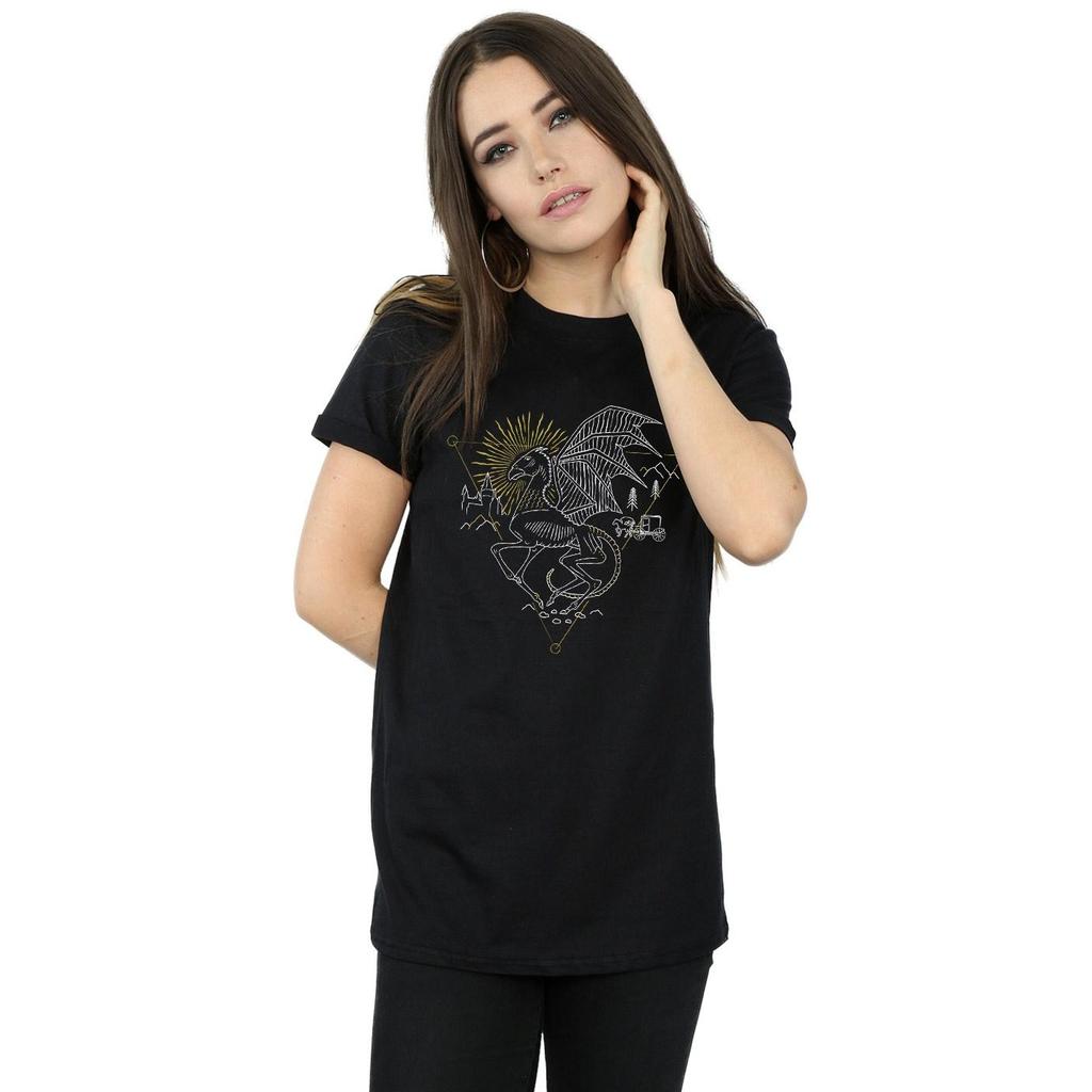 Harry Potter Womens/Ladies Thestral Line Art Cotton Boyfriend T-Shirt