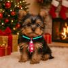 Unique Cute Christmas Dog Tie Costume Adjustable Dog Bow Tie Decorative Cat Neckties for Puppy Dogs Cats