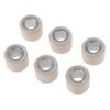 Racing Variator Roller Weights 24.5 G 23.8 X 18 Mm for CF250 CH250