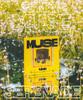Muse Random Cover -