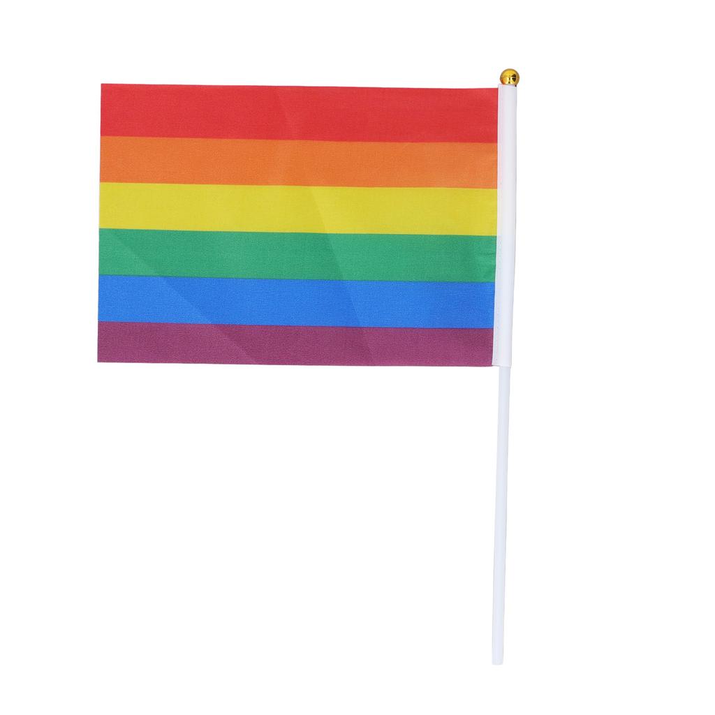 24Sets Mini Pride Flags Color Lasting Small Lightweight Gay Pride Flags for Festival Party Holiday Parading Decorations