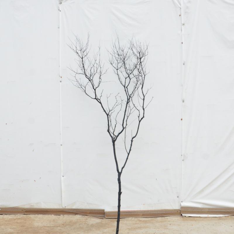 Künstlicher Baumzweig und Stamm Dekorationsstück