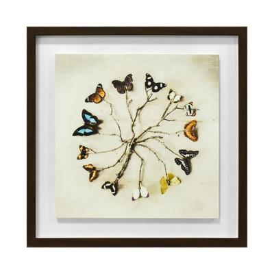 Ian Winstanley Butterfly Harmony Wood Framed Plaque