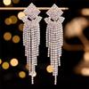 High-end Luxury Full Diamond Earrings for Women, Niche Design Temperament Fringed Stud Earrings