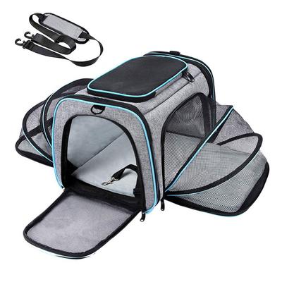 Sac à dos de Transport pour animaux de compagnie, Portable, respirant, pliable, à bandoulière, pour chat et chien, voyage sortant, sac à main pour animaux de compagnie