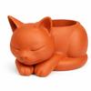 Sleeping Cat Flowerpot Orange Decorative Cover for Succulents and Cacti