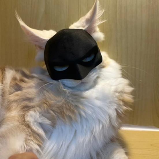 Cat Bat Masque Funny Cat Bat Superhero Cosplay Hat Pet Dress-up Apparel for Halloween Birthday Party Costume Accessories