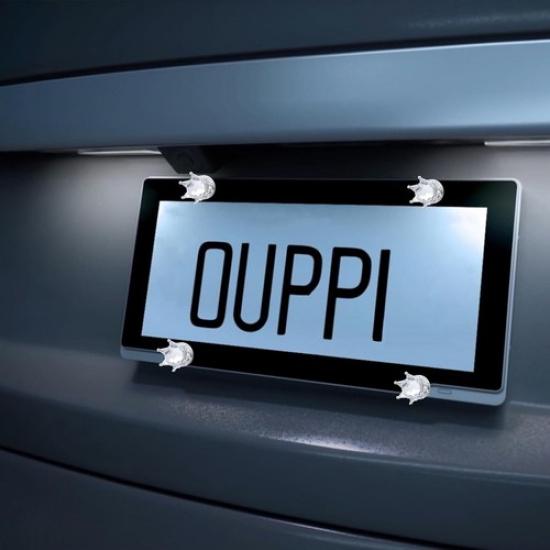 License Plate Screws Fastener Bling Mounting License Plate Bolts Silver