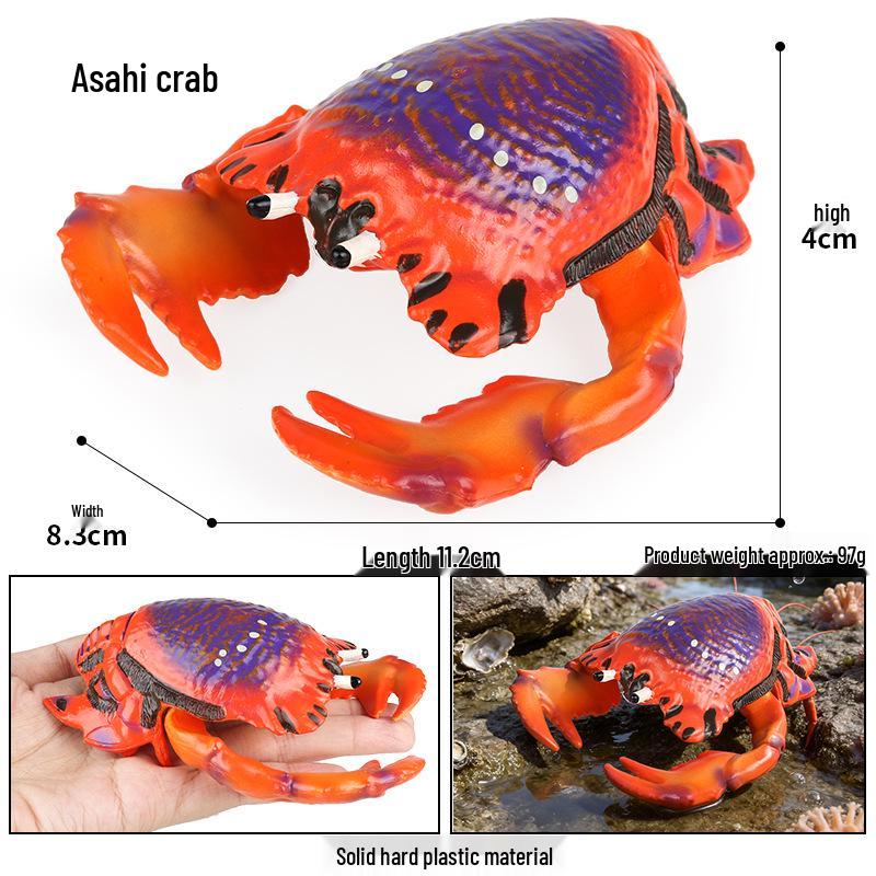 Children's Cognitive Marine Animal Models: Sea Turtle and Tortoise Toys