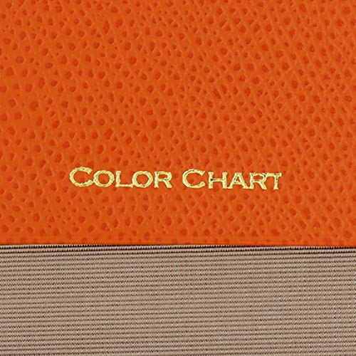 Color Chart Memo s (LanternCherry)