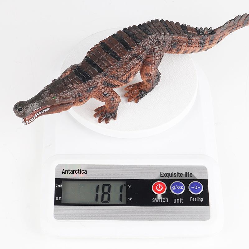 Siberian Tiger Male Model - Children's Cognitive Toy