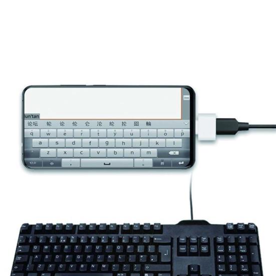 Mini Handy zu USB Buchse Typ-C Stecker OTG Adapter Konverter Stecker