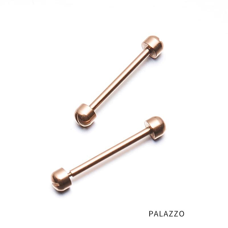 

16 мм 18 мм Ремешок для часов для Versace Vanitas Micro VQM VECQ00218 518 318 118 Ремешок для часов Винтовой стержень из нержавеющей стали 16mm