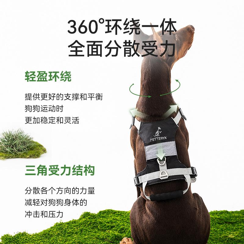 Dog traction rope vest type medium and large dog explosion-proof double ring buckle golden hair neck ring chain dog walking rope adjustable rope