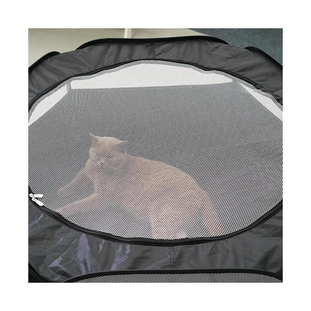 Floving Katzen Tunnel & Zelt, Katzenröhre Pop-Up Tunnel Set, Faltbarer Kätzchen Tunnel Lange Katzenröhre mit Plüschball, Kätzchen Spielzeug für drinnen, auch geeignet für