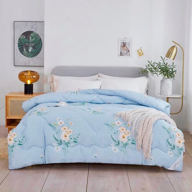 Donald Home Textiles Flower Dream Elegant Soft Winter Quilt