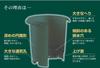 Richelle Rose Pot No. 6 Dark Green