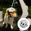 Nylon Strap Pet Helmet Breathable Cat Helmet New Dog Motorcycle Hat  Pet Headwear