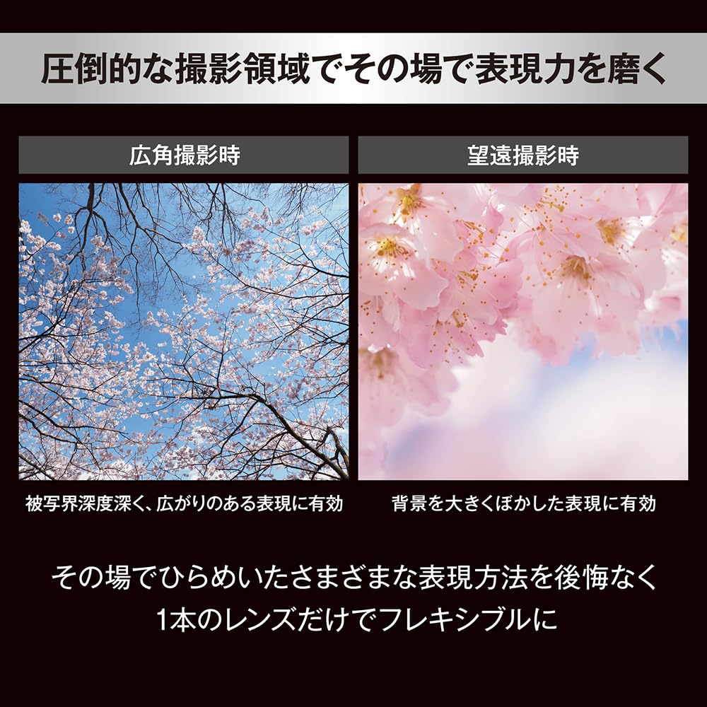 OM SYSTEWM High-Magnification Zoom Lens M.ZUIKO DIGITAL ED 12-200mm F3.5-6.3 Nature LandscapeMountaineeringOutdoorsTravel