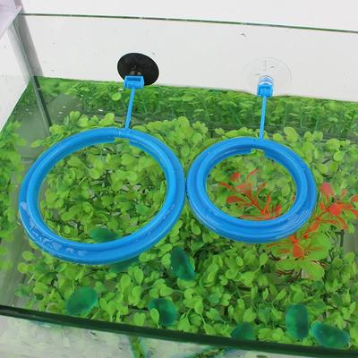 Fische & Meerestiere – Aquarienpflege