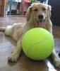 Bola de tênis gigante para cachorro de 7/8/9,5 polegadas, brinquedo para mastigar cachorro, assinatura Mega Jumbo, suprimentos para treinamento de bola infantil, dropship, pelúcia