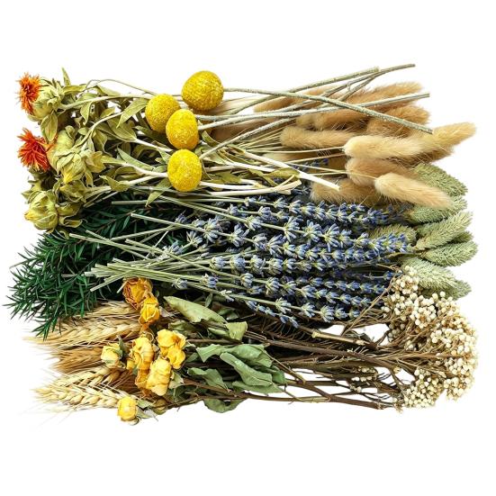 DIY Natural Dried Flower Set Eucalyptus Lavender Wheat Bunny Tails Billy Ball Flower Bouquet with Stems for DIY Crafts Home Wedding Vase Decor
