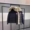 Haine de Bumbac cu Puf de Înaltă Calitate pentru Bărbați și Femei Haine de Exterior Jachetă Parker cu Glugă Îngroșată Călduroasă Rezistentă la Vânt Guler de Blană