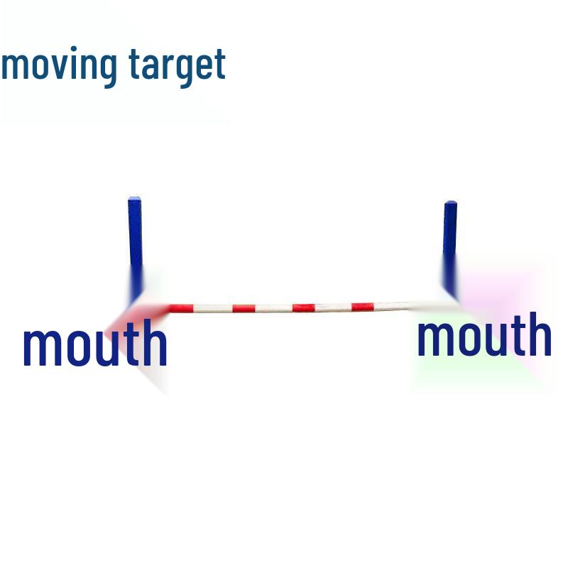 

Outdoor Dog Agility Training Equipment
