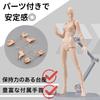 TikTrunk Action Figure Drawing Doll Set, Male and Female, 1/12 Scale Articulated, Muscular, PVC (Skin Tone), for Illustration, Manga, and More