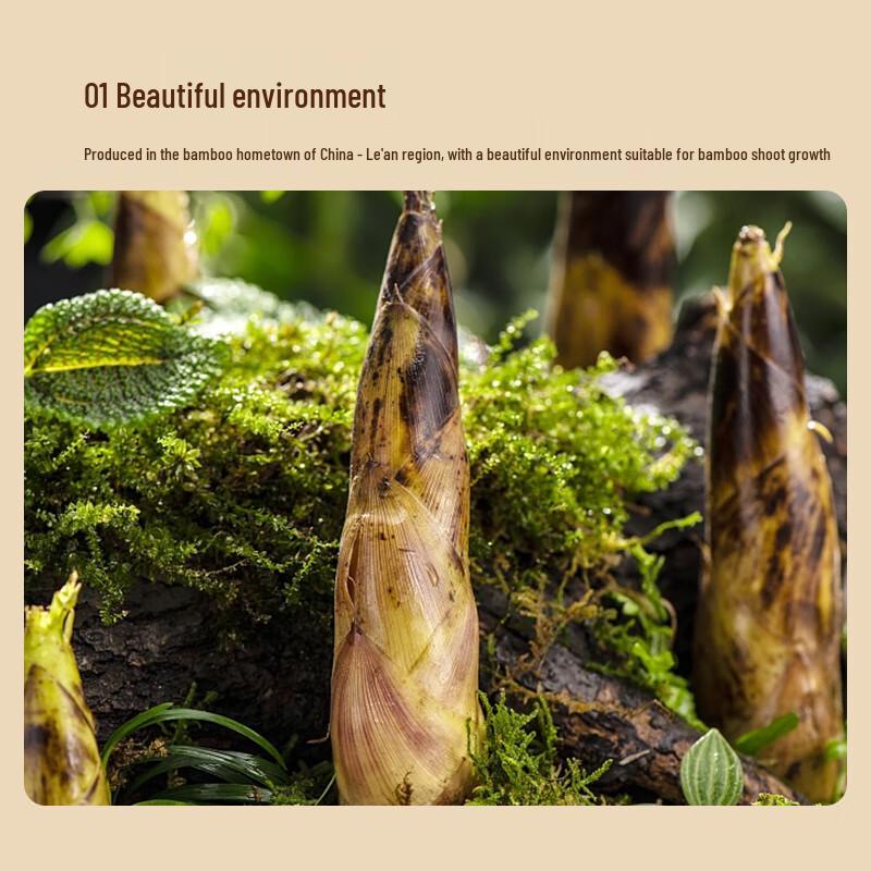 Jingxiansheng Jiangxi Glutinous Rice Bamboo Shoots
