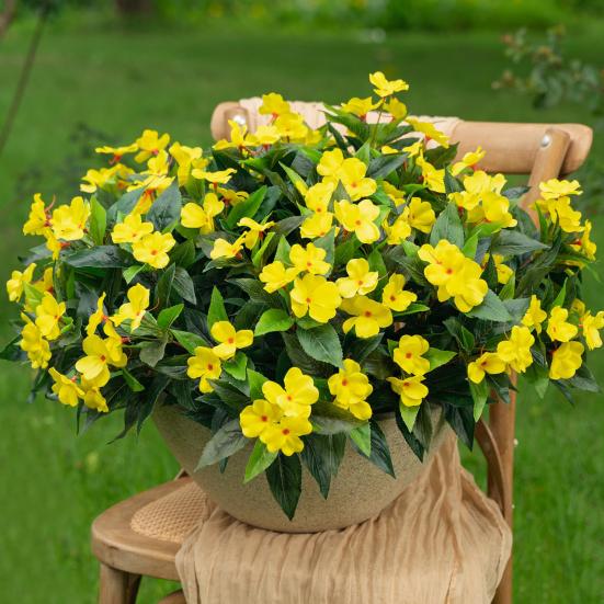 Artificial Impatiens Bunch UV Resistant Faux Flowers Low Maintenance Fake Impatiens Bouquet for Indoor Vase Planters Balcony Decorations