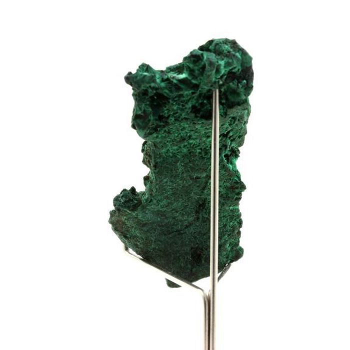 Pierres et Minéraux. Malachite. 291.30 ct. Mindingi Mine, Kambove District, Congo.