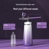 MKS Home Oxygen Infusion Nano Facial Sprayer