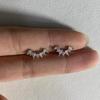 Delicate Zircon Stud Earrings Women's Light Luxury High-end Sense Nourishing Ear Hole Earrings New Foreign Gas Earrings