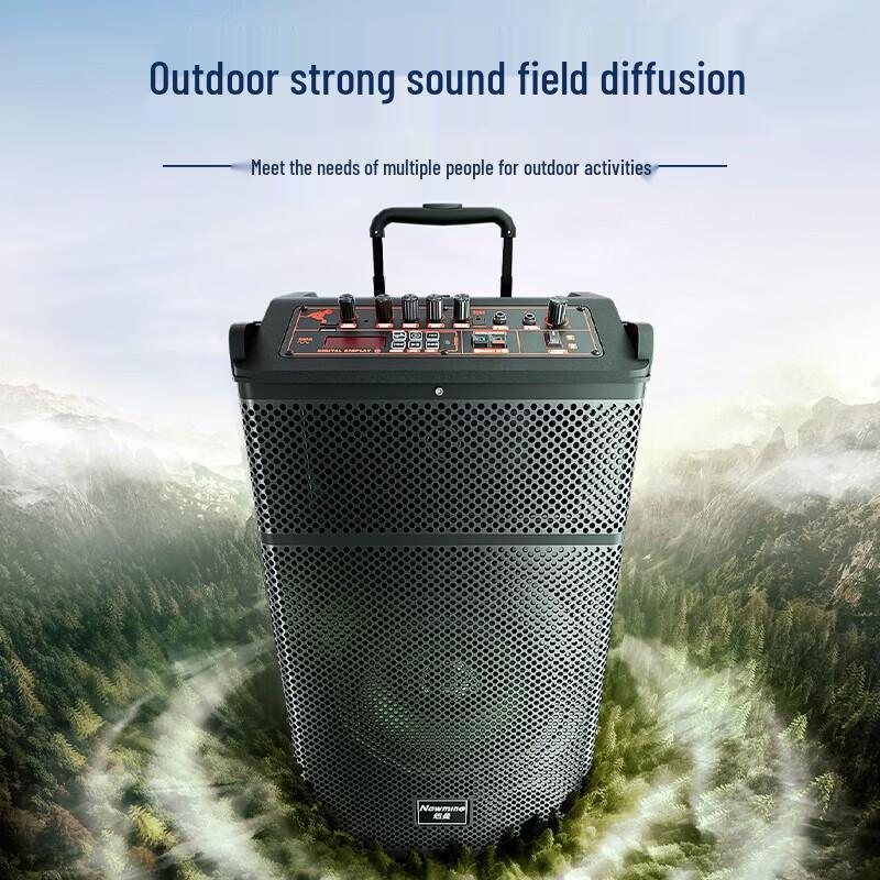 Newmine N520 12-inch Portable Bluetooth Trolley Speaker with Dual Mics CN Plug (adapter Included)