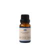 Parfumerie – Uleiuri esențiale