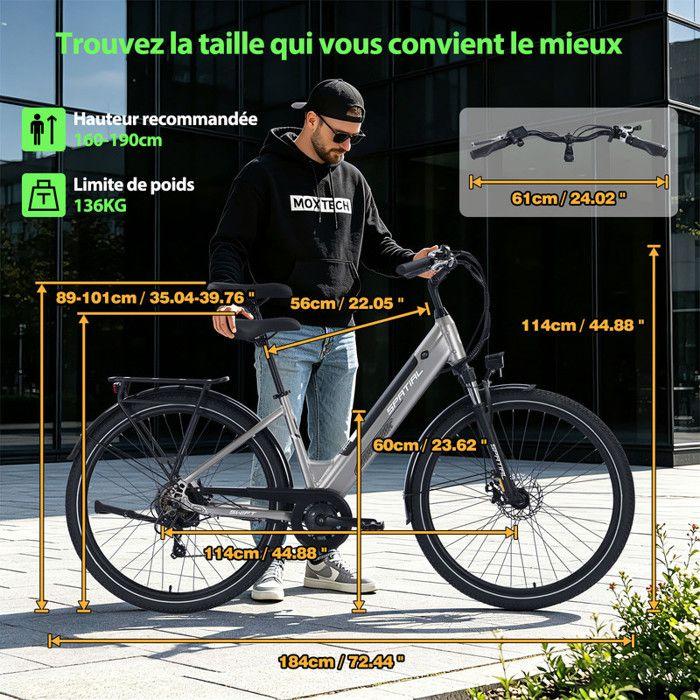 SPATIAL Vélo électrique 29" Argent-Moteur 600W- Batterie 48V12Ah- Shimano 7 Vitesses - VTT Ville E-Bike - Autonomie 100 km