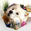 Colorful Samoyed Pattern, Automatic Folding Umbrella, Portable and Foldable Design, 8 Ribs, a Christmas or Birthday Gift.