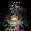 Solar Powered Outdoor Garden Lights, Patio Decor Ambient Lighting, Accents for Yard Walkway