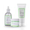 Dirtphobia Plus Care Set For Problematic Sebum   3 Items